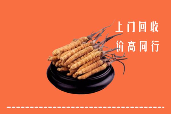 高价求购：三亚回收散虫草