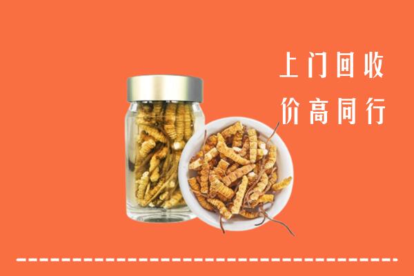 三亚回收冬虫夏草