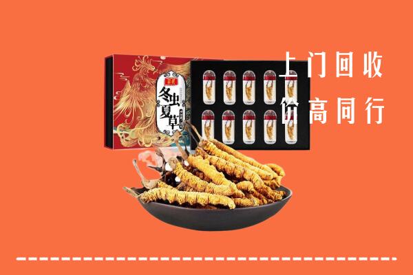 三亚回收虫草